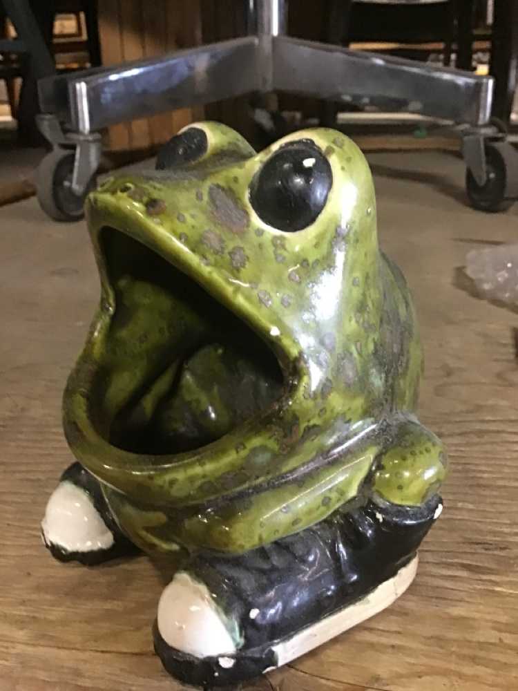 Green Frog Sponge Holder 
